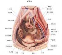 子宫内膜炎的症状有哪些